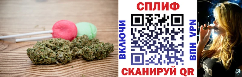 дарк нет наркотические препараты  MEGA как зайти  Алексеевка  Печенье с ТГК конопля 