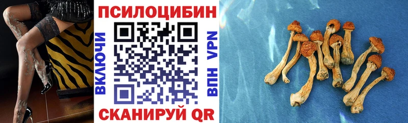Галлюциногенные грибы Magic Shrooms наркотики Алексеевка